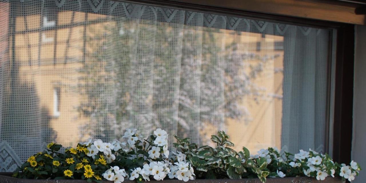 Ferienwohnung Liebeskind Hopfgarten  Dış mekan fotoğraf